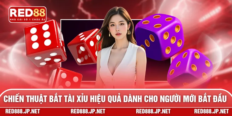 Chiến thuật bắt tài xỉu hiệu quả dành cho người mới bắt đầu