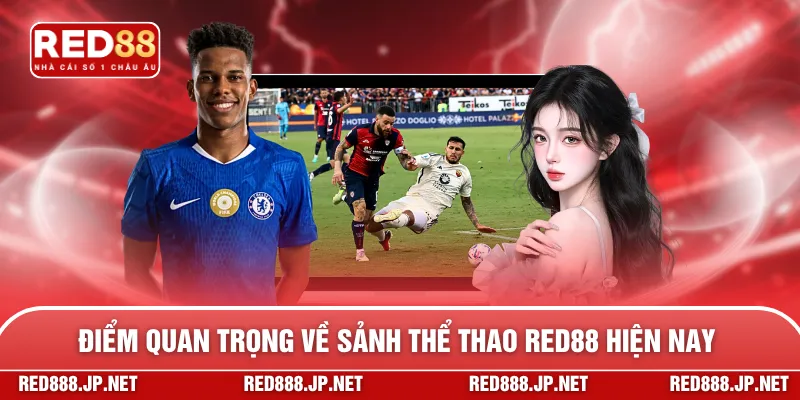 Điểm quan trọng về sảnh thể thao RED88 hiện nay