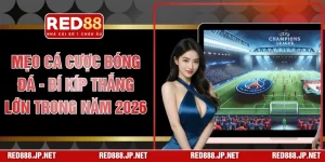 Mẹo Cá Cược Bóng Đá - Bí Kíp Thắng Lớn Trong Năm 2026