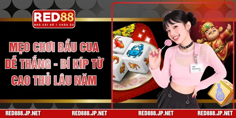 Mẹo Chơi Bầu Cua Dễ Thắng - Bí Kíp Từ Cao Thủ Lâu Năm