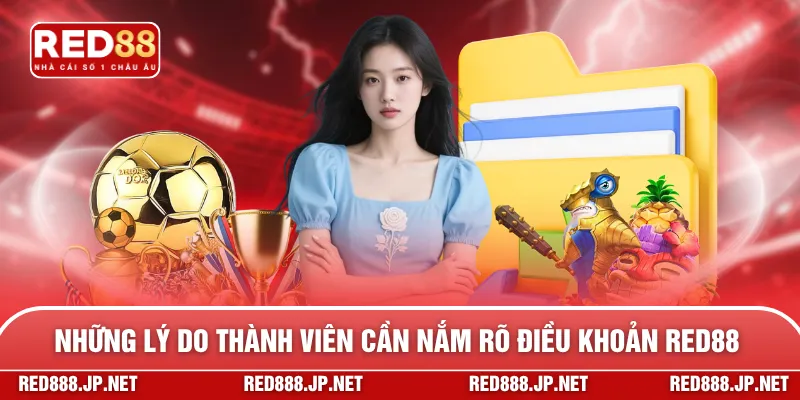 Những lý do thành viên cần nắm rõ điều khoản RED88